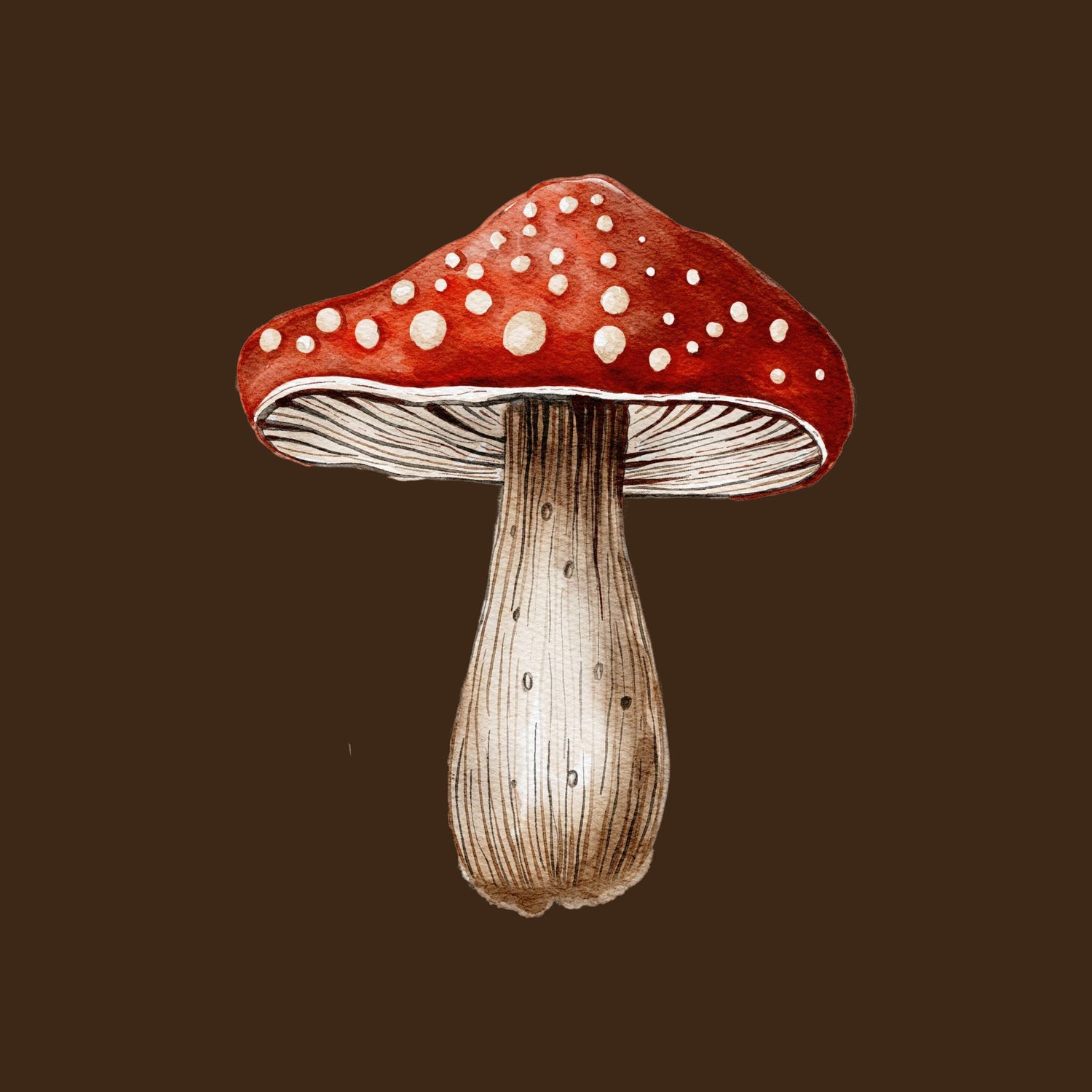 Mushrooms