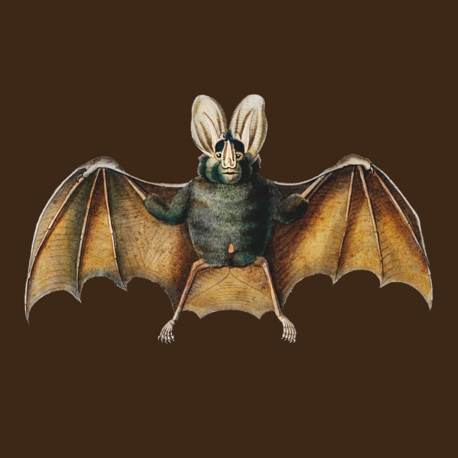 Bats