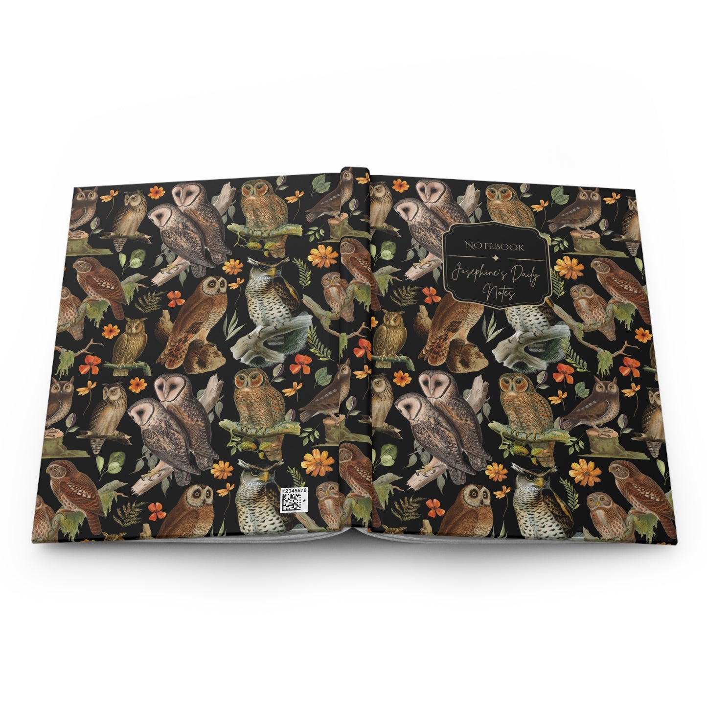 Vintage Barn Owl Journal