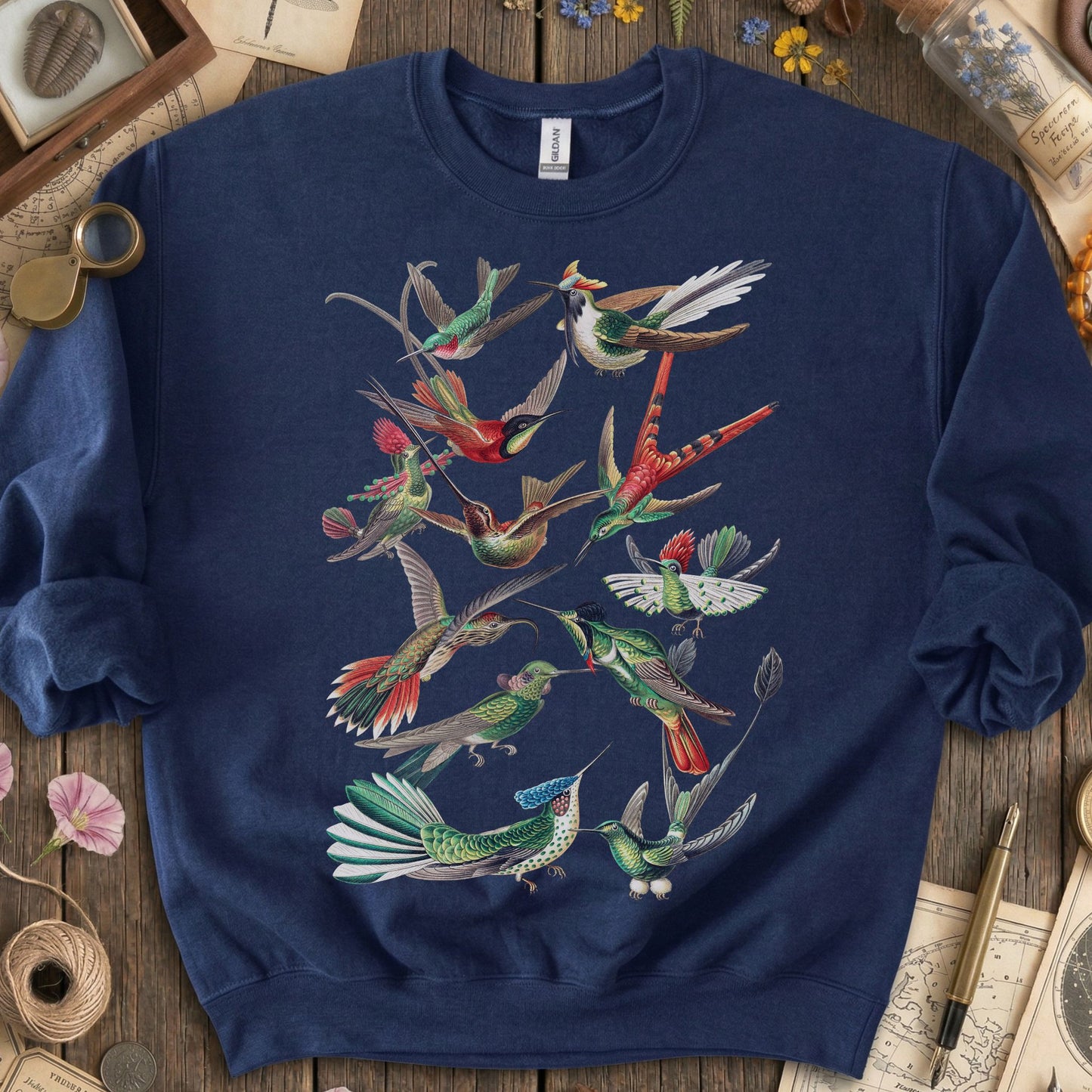Vintage Hummingbird Sweatshirt