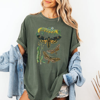 Vintage Naturalist Insect T-Shirt