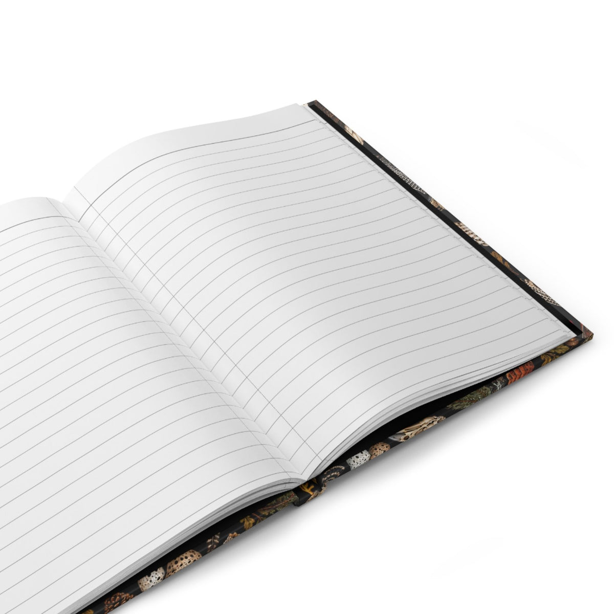 Birds of Prey Hardcover Lined Journal
