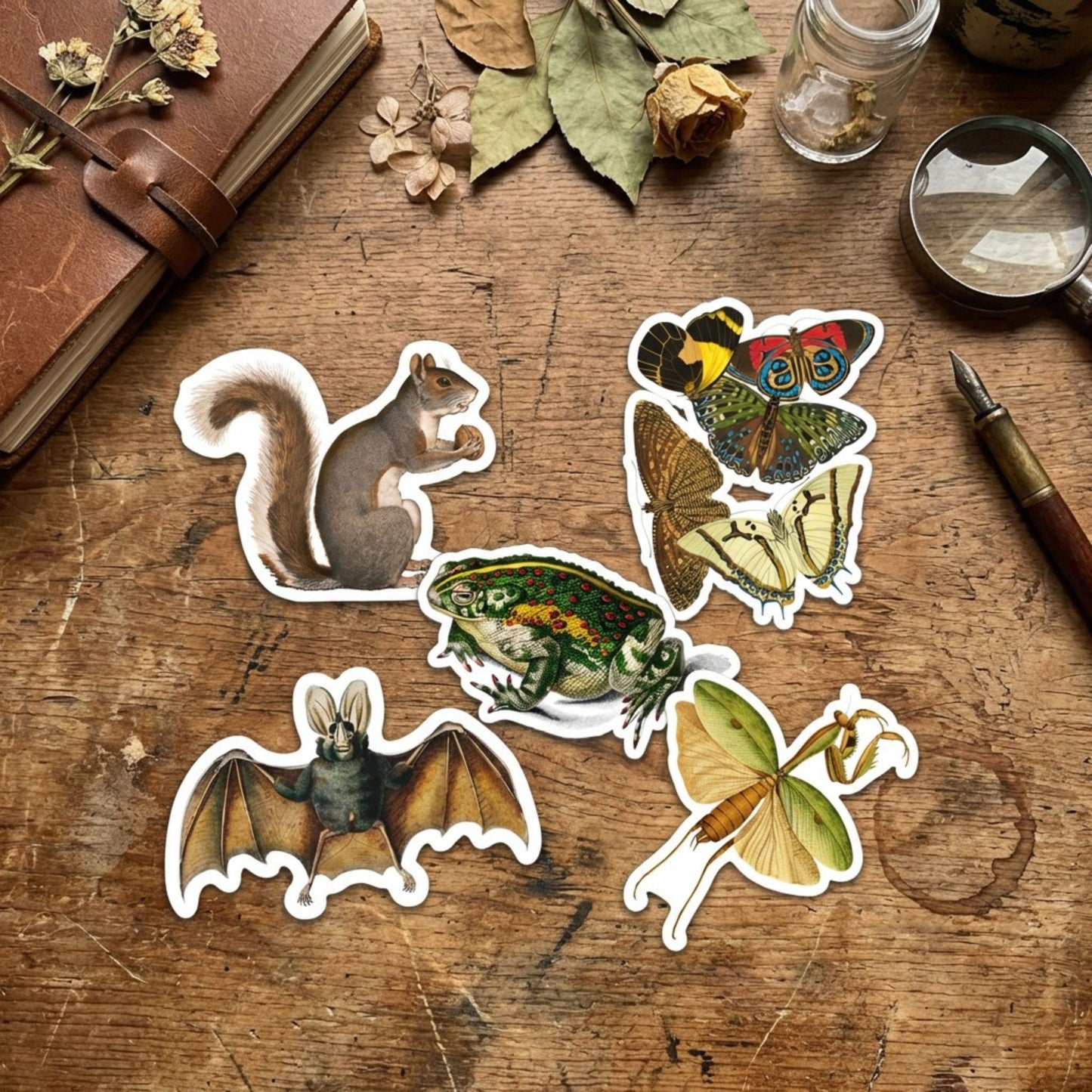 Vintage Squirrel Die Cut Sticker