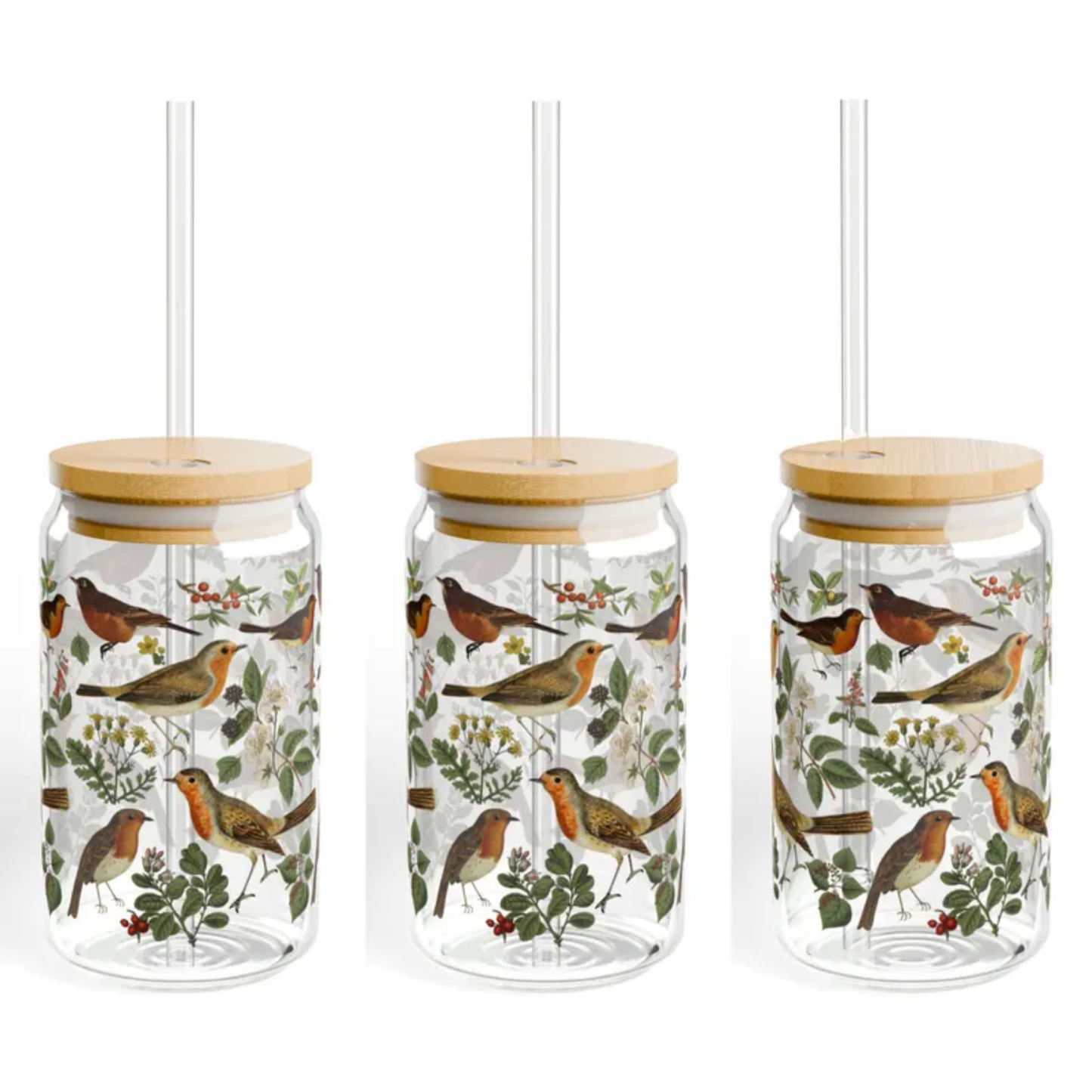 Vintage American Robin 16 Oz Tumbler Glass